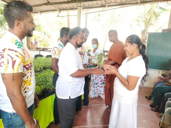 Distributing plants for gardens in conjunction with the 2022 Samurdhi National Cultivation Operation / Homagama (Kiriwatthuduwa North Division) (2022-09-10)